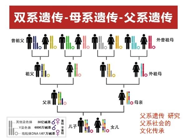 世居西藏各民族源流三问—西藏民族大学高原人群遗传基因科研成果