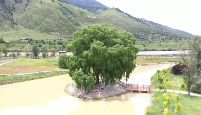 70秒带你看康巴高原植物园