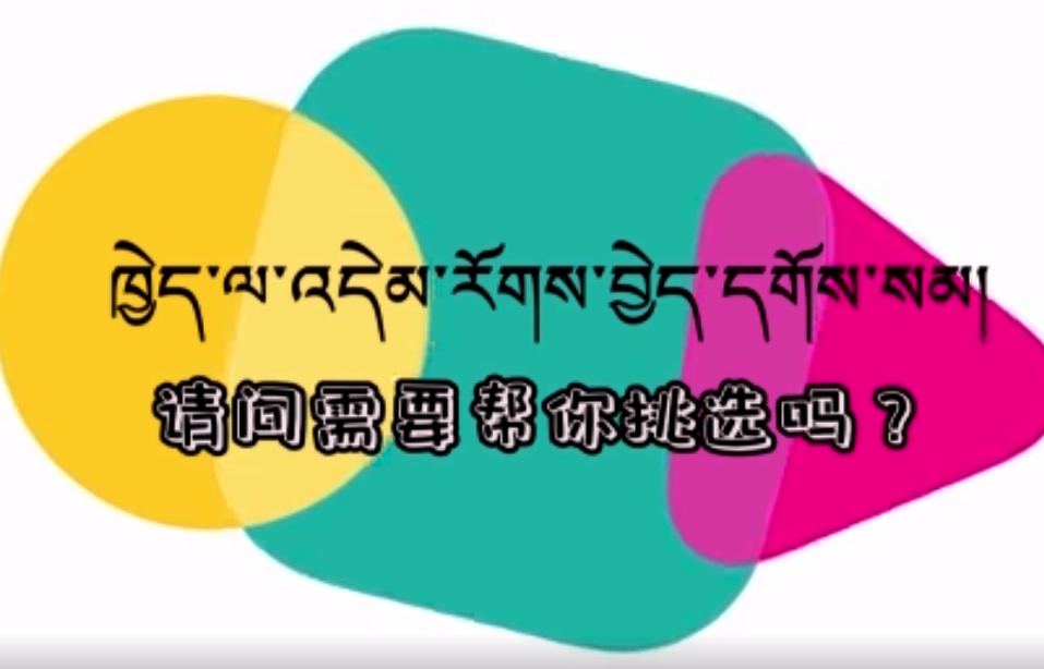 快乐普通话（请问需要帮你挑选吗？）