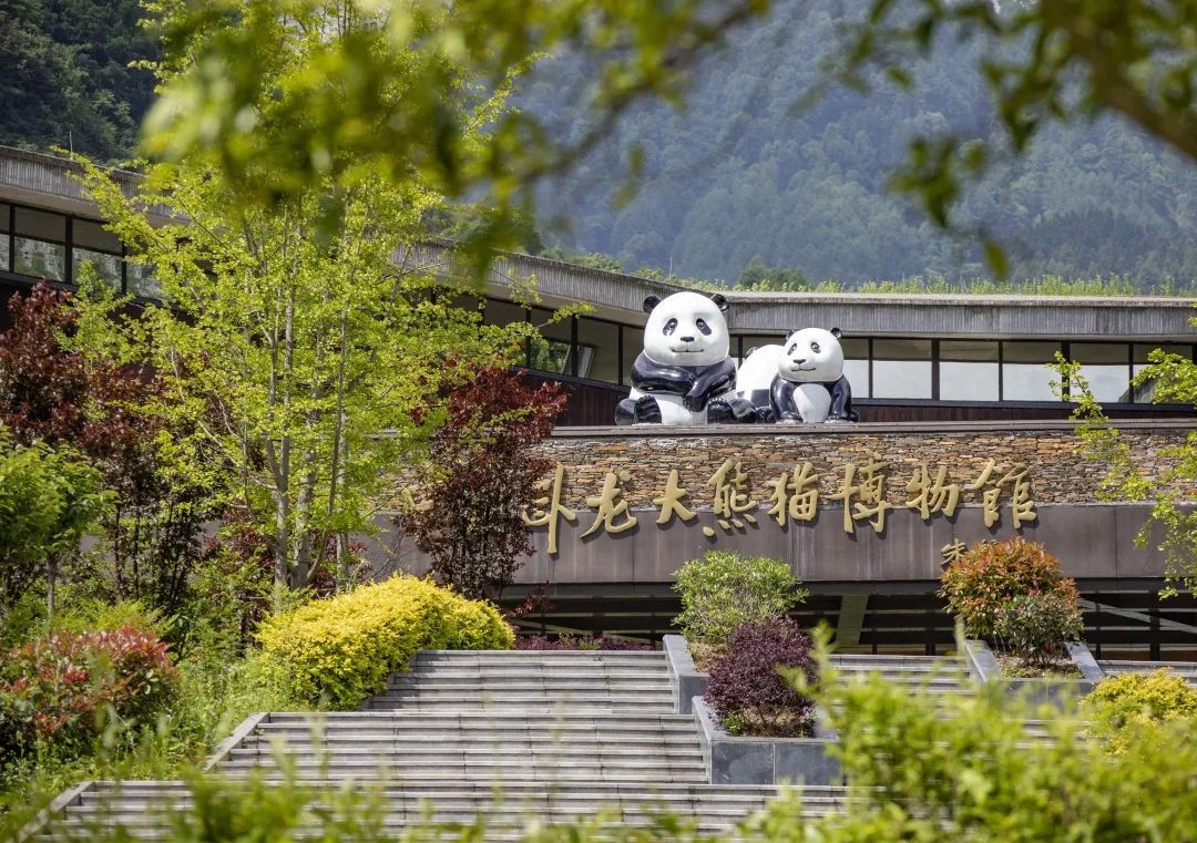 天府汶川，竟还藏着这些“宝藏”