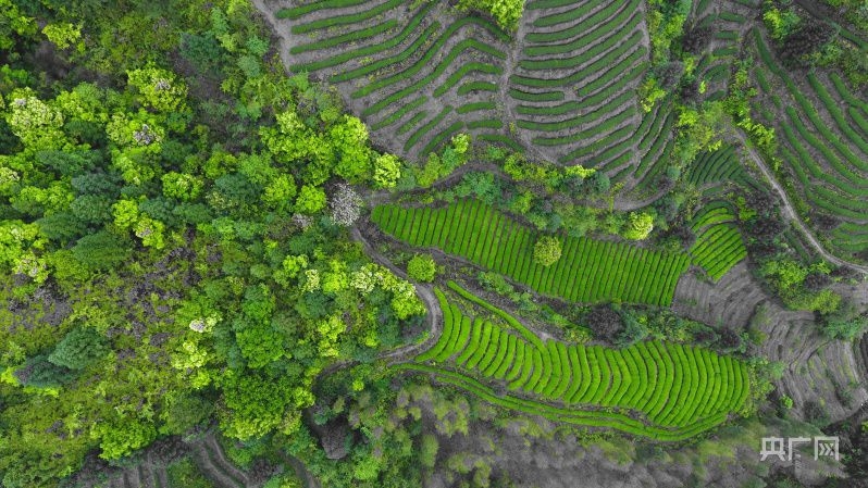 点击进入下一页