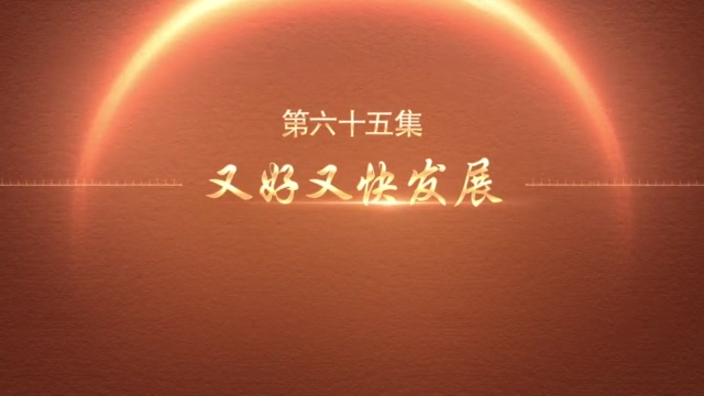 《百炼成钢：中国共产党的100年》第六十五集：又好又快发展