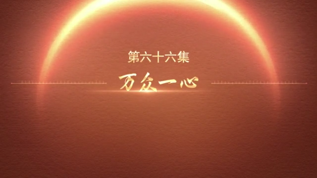 《百炼成钢：中国共产党的100年》第六十六集：万众一心
