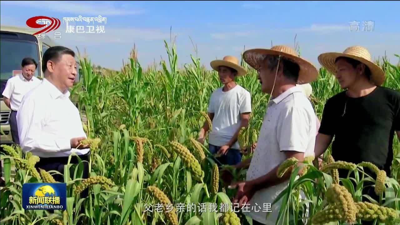 翁姆报天气-2021-12-31