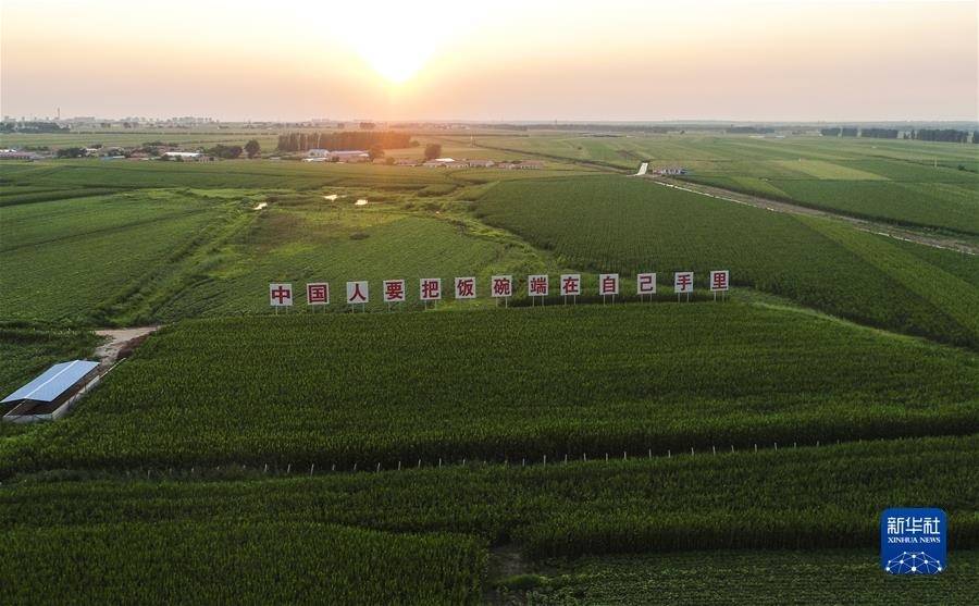习近平关心关怀劳动者的故事