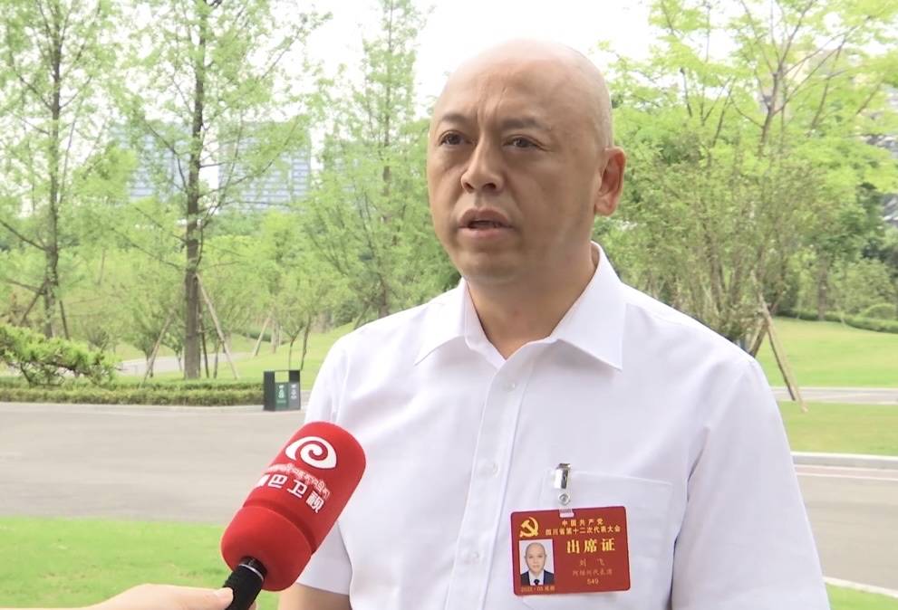四川省第十二次党代会代表刘飞：守好人民群众的钱袋子  创全省第一个无