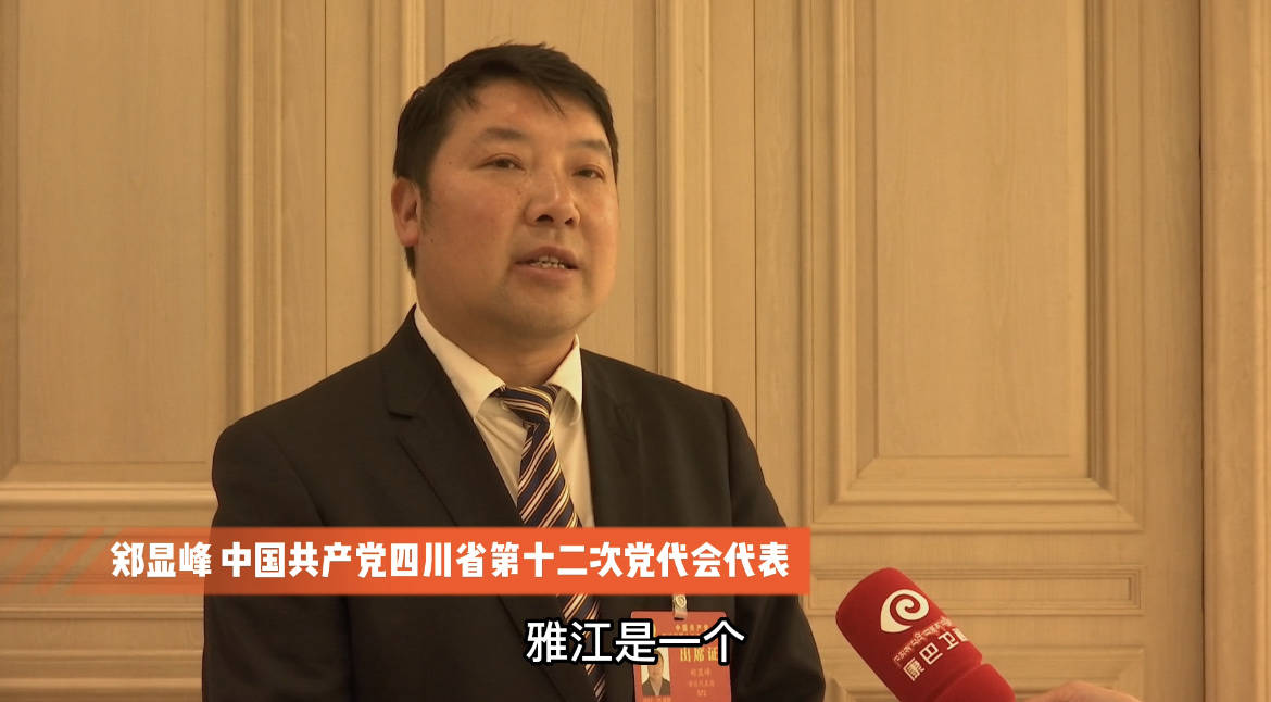 四川省第十二次党代会代表郑显峰：依托全省发展大背景，更好推动清洁能源开发