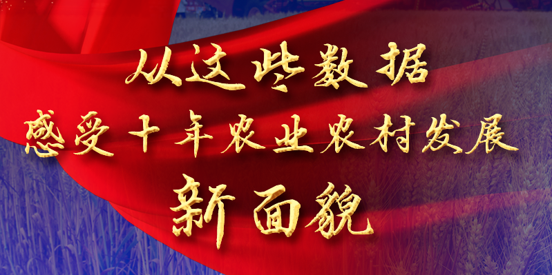 从这些数据感受十年农业农村发展新面貌