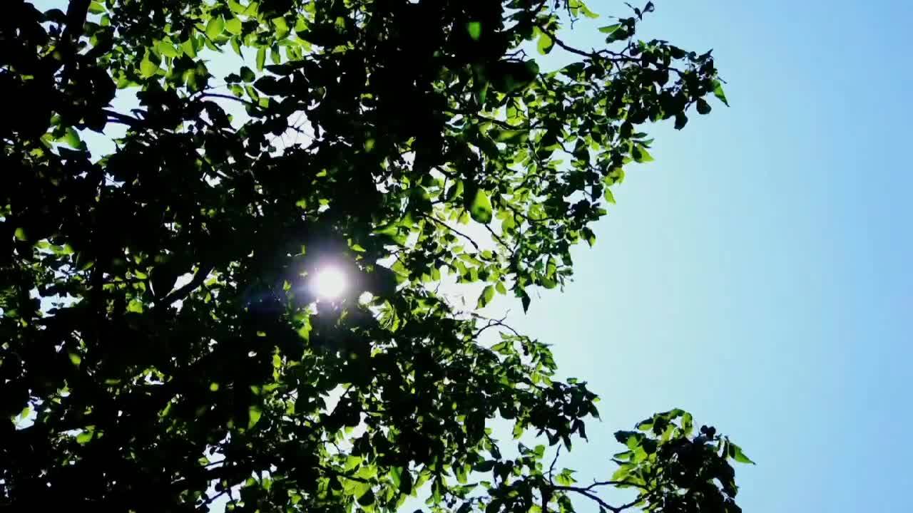 理县·清凉21°C！邀你共赴夏日清凉之旅！
