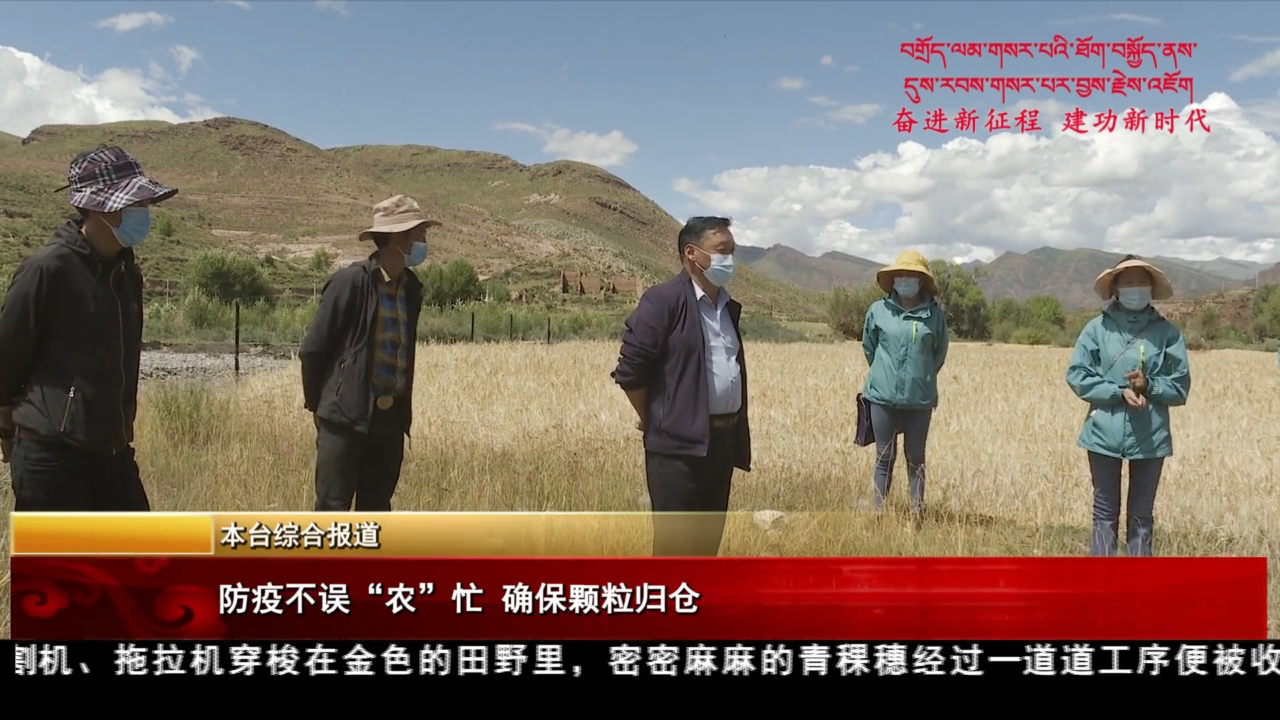 防疫不误“农”忙 确保颗粒归仓