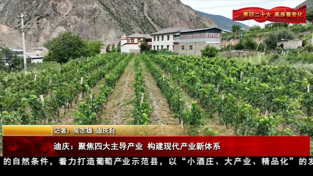 迪庆：聚焦四大主导产业 构建现代产业新体系