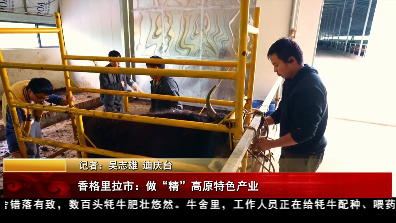 香格里拉市：做“精”高原特色产业