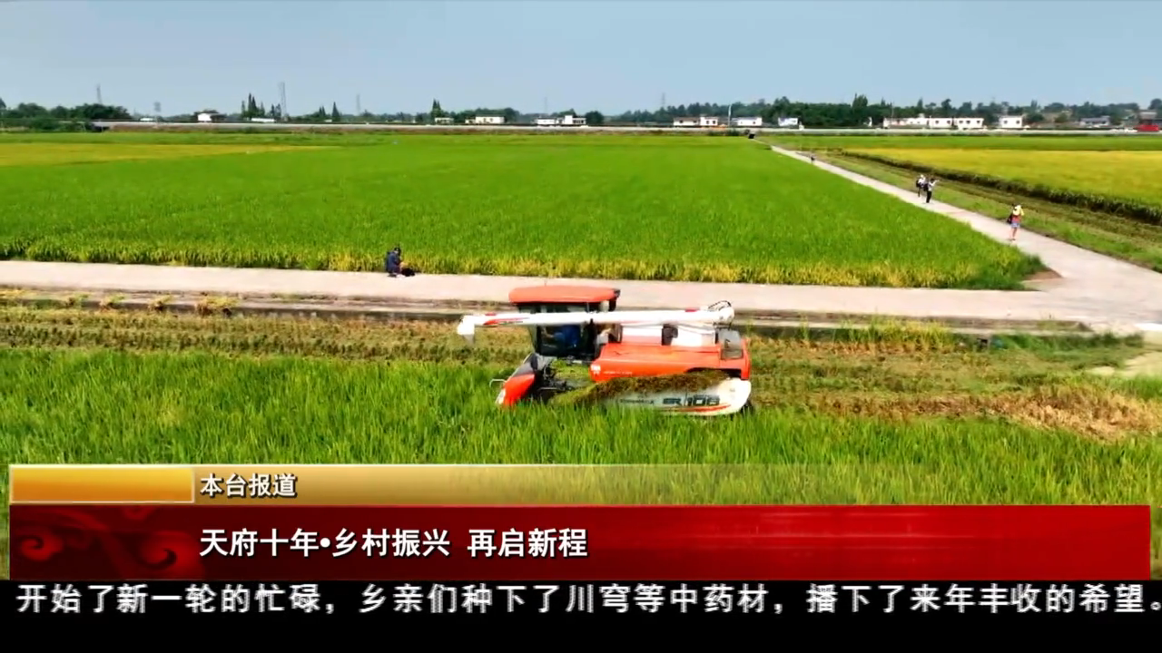 天府十年·乡村振兴 再启新程