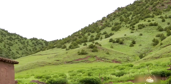 {岗日杂塘 天赐家园}——《老房子的故事》