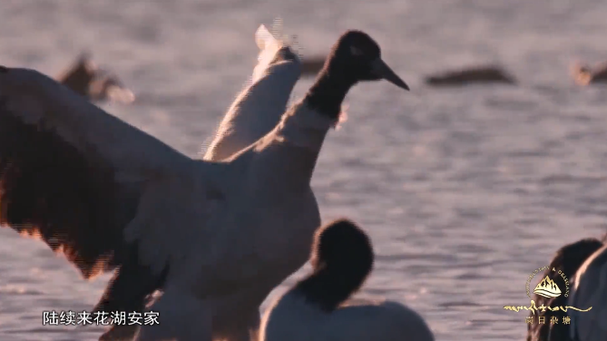 {岗日杂塘 天赐家园}——《囊谦咗玛手艺》