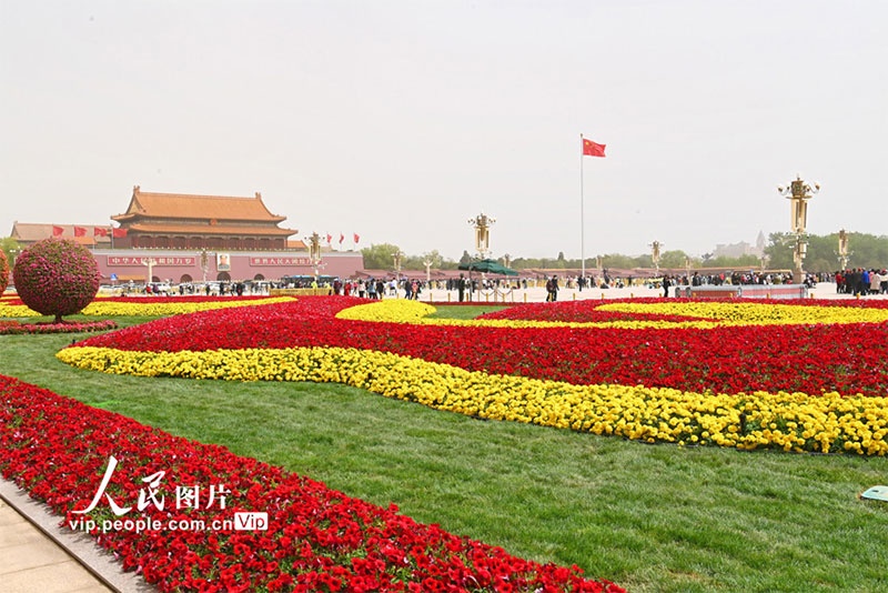 ༄༅།།གནམ་བདེ་སྒོ་མོའི་ཐང་ཆེན་དུ་མེ་ཏོག་སྣ་ཚོགས་བཞག་འདུག