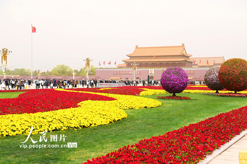 ༄༅།།གནམ་བདེ་སྒོ་མོའི་ཐང་ཆེན་དུ་མེ་ཏོག་སྣ་ཚོགས་བཞག་འདུག