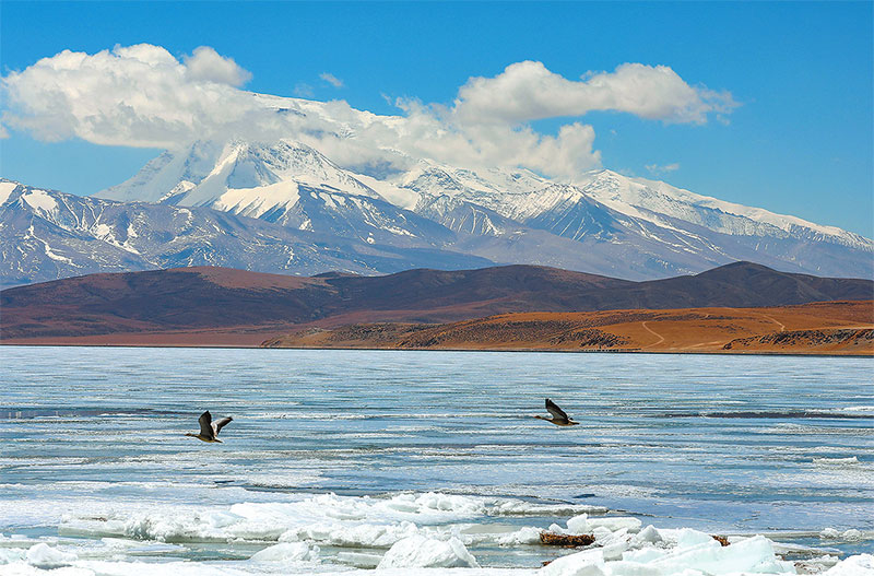 ༄༅།།མཚོ་མོ་དར་ཁ་ཕྱེ། མཛེས་ཤིང་ལྟ་ན་སྡུག