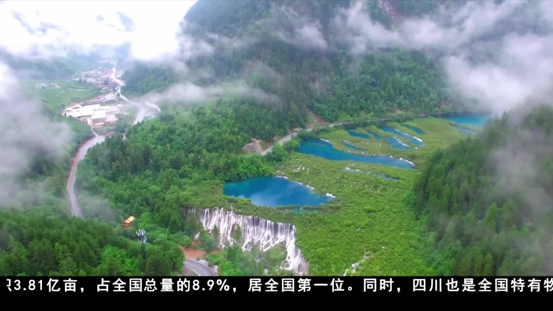 林地面积全国第一 四川省生态状况持续向好