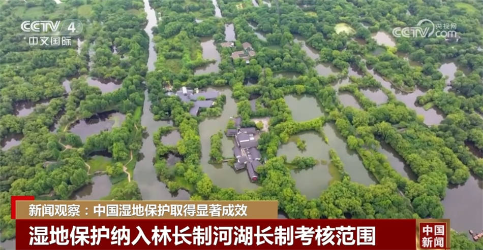中国湿地保护取得显著成效 全面进入法治化轨道