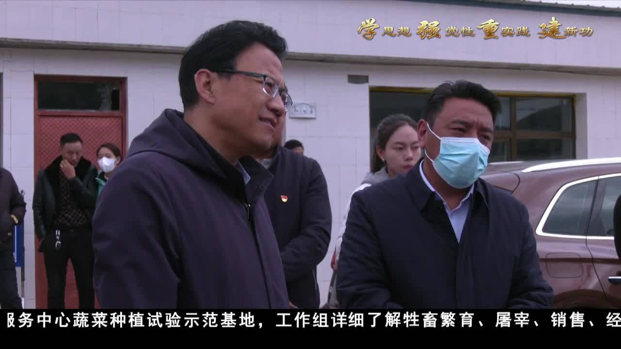 玉树：不断推动经济运行持续向好 内生动力持续增强