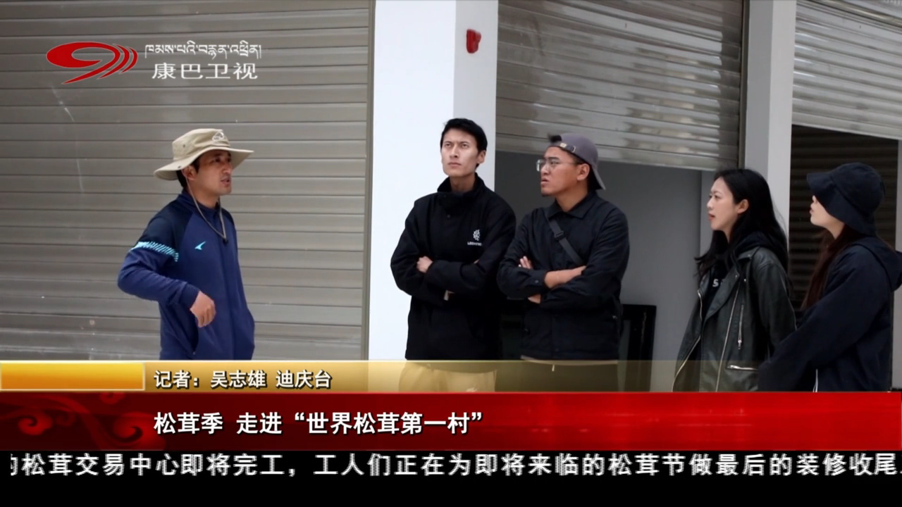 松茸季 走进“世界松茸第一村”