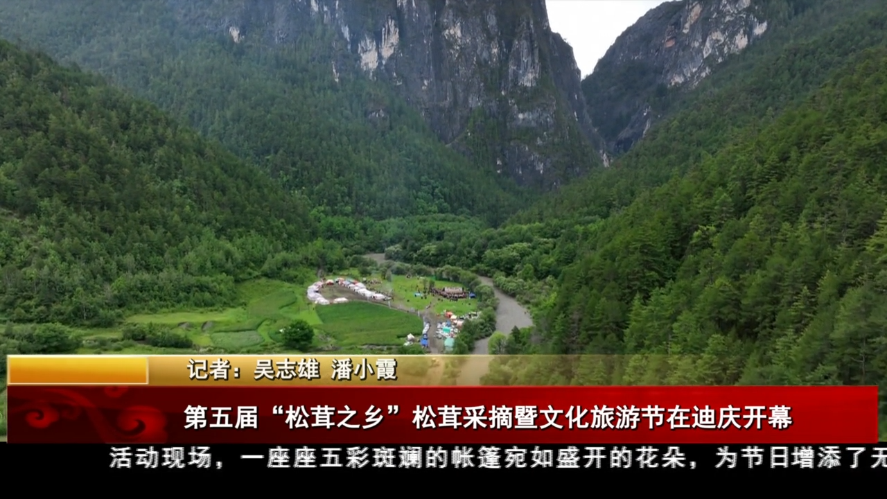 第五届“松茸之乡”松茸采摘暨文化旅游节在迪庆开幕