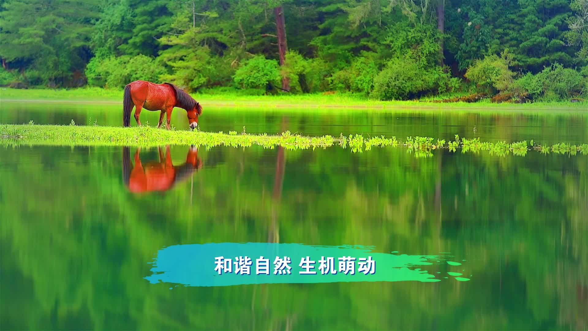 最美318  多彩波密 欢迎您！