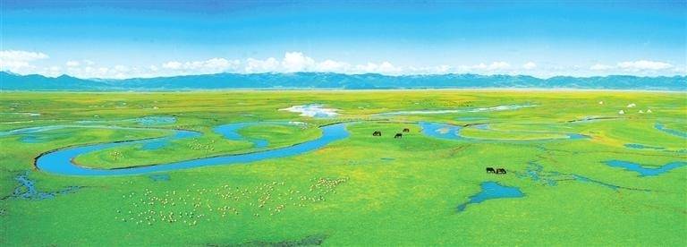 黄河首曲 一湾碧水润草原