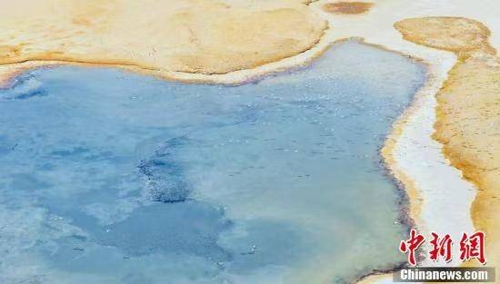 黄河源头候鸟集结