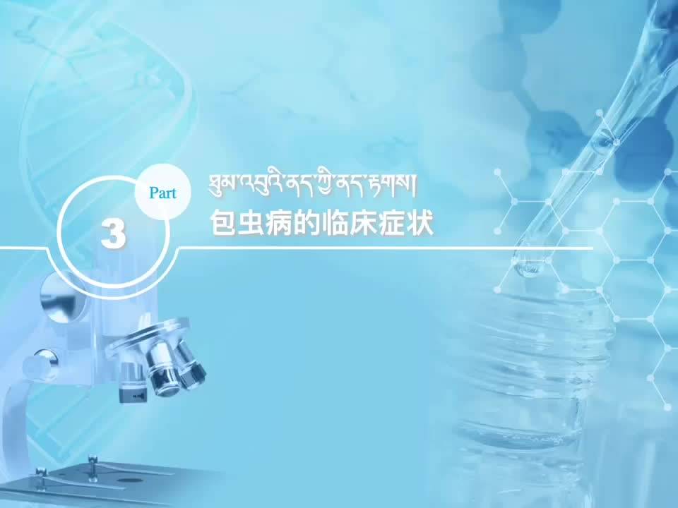 同心共铸 情暖高原——包虫病防治知识康巴方言版