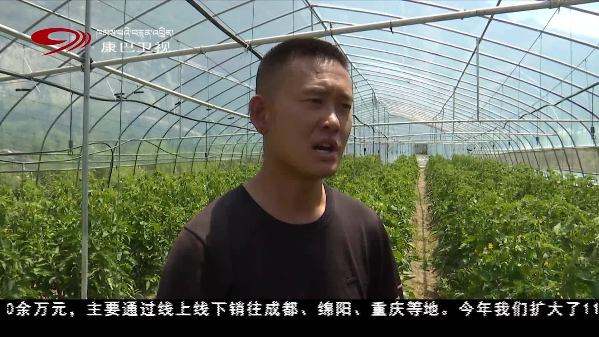 阿坝州：发展特色产业 走出特色富民路