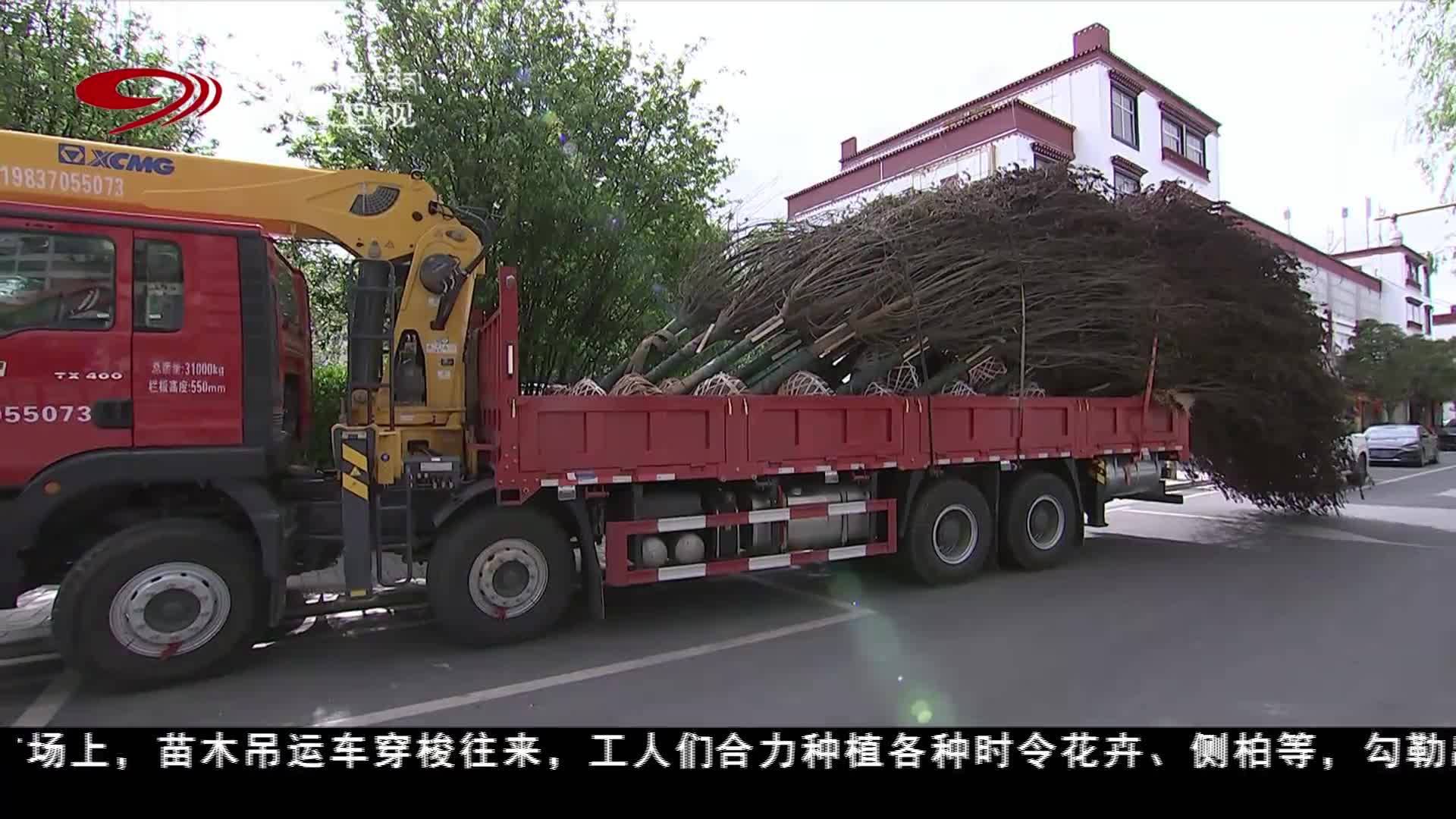西藏山南市：执“绿”为笔 向“美”进发