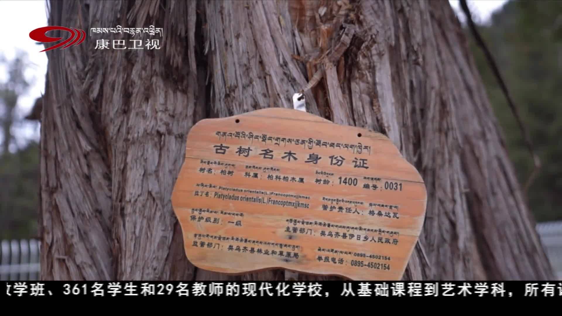 昌都市类乌齐伊日乡小学 高原上的“森林学堂”