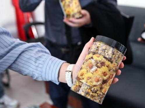 江南杭白菊绽放雪域高原 东西协作蹚出“香甜”共富路