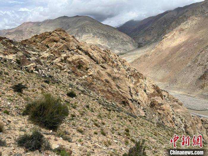 中国团队最新研究:青藏高原植物多样性被严重低估