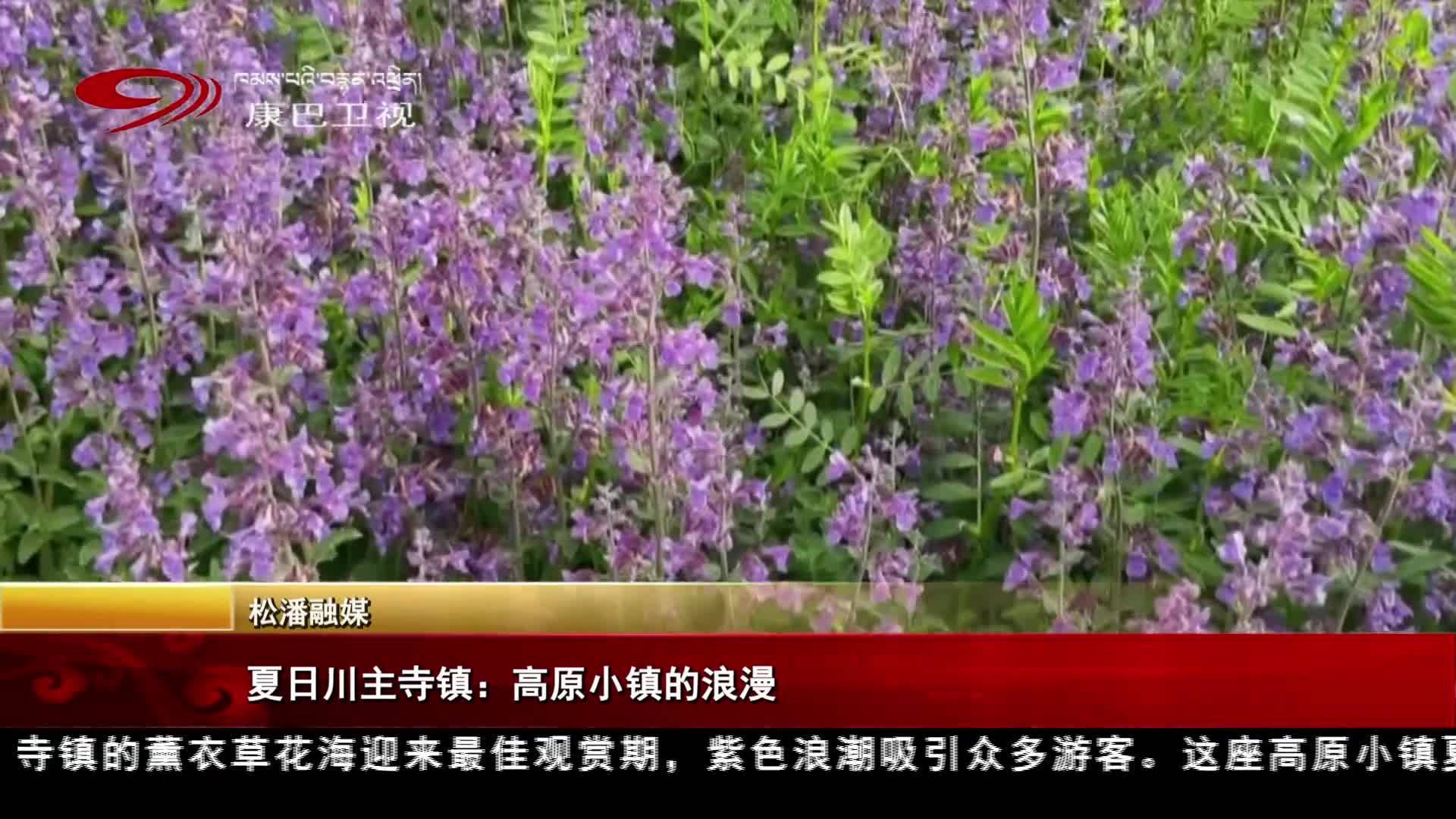 夏日川主寺镇：高原小镇的浪漫