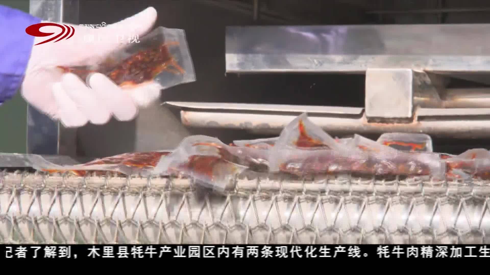 凉山州木里：从高原牧场到州级园区 双生产线驱动产业升级