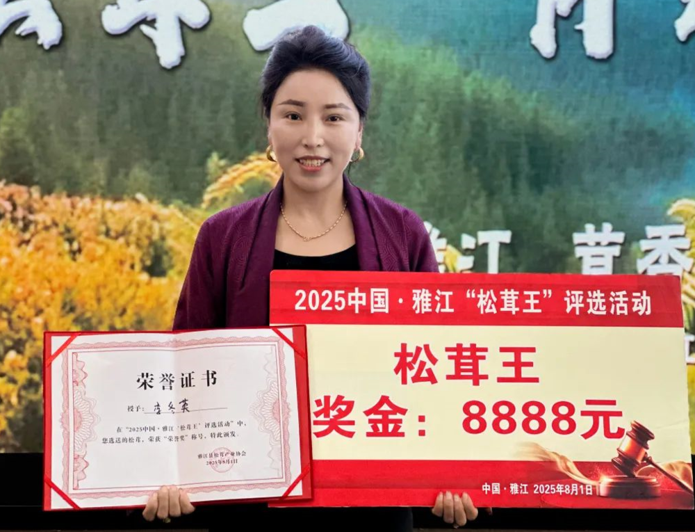 一朵松茸8888元！2025年中国·雅江“松茸王”诞生