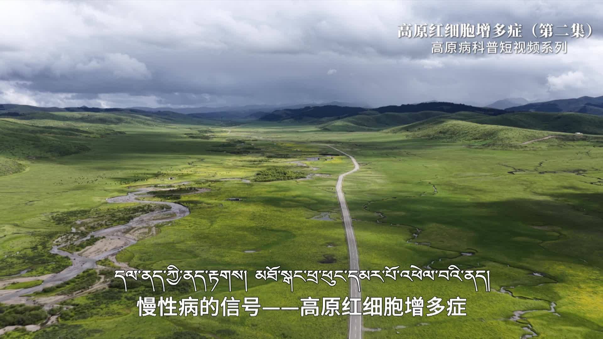高原病红细胞增多症（第二集）