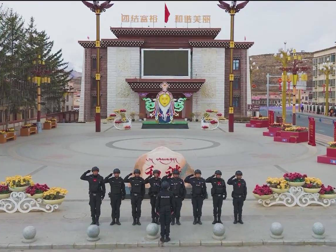 枫桥经验—稳定高原的压舱石