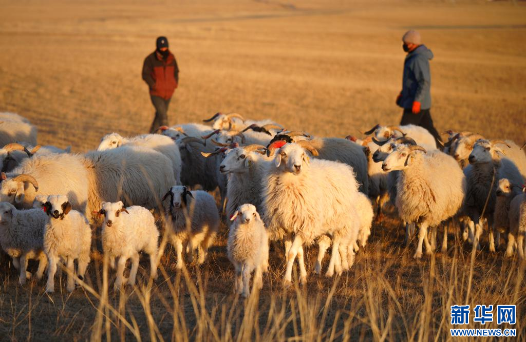 ནུས་མཐོའི་གསོ་སྤེལ་ལ་བརྟེན་ནས་རྐང་ཚ་རྫོང་གི་འབྲོག་མིའི་ཡོང་འབབ་འཕར་སྣོན་བྱུང་།