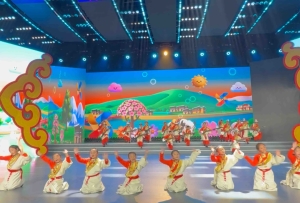 藏历新年联欢会:道孚红星少儿艺术团的小朋友蹦蹦跳跳 闪亮登场