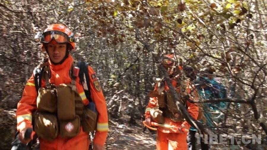 藏东林海里的“守护者联盟”