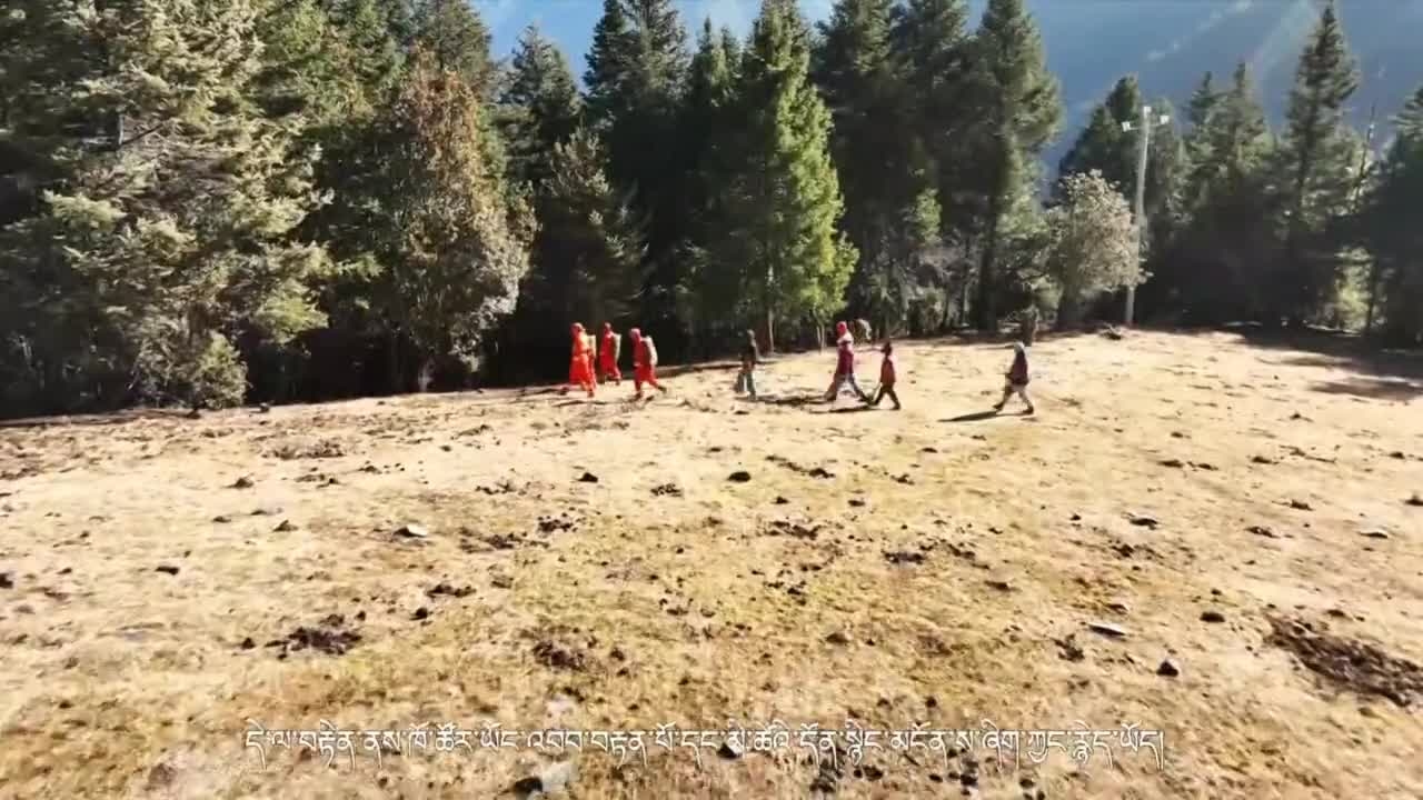 护林员的新春守护