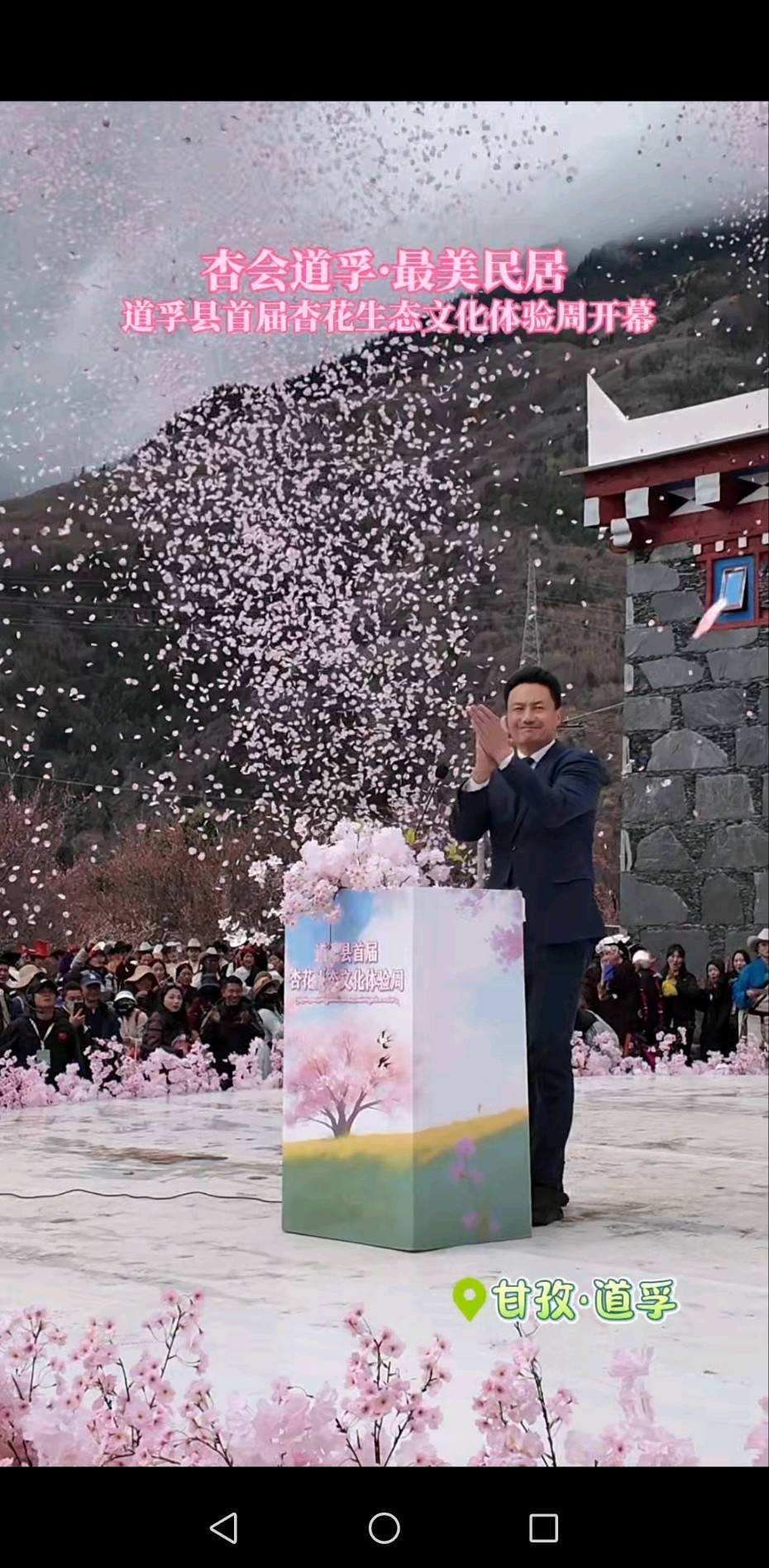杏花开！这个春假来道孚 🌸
