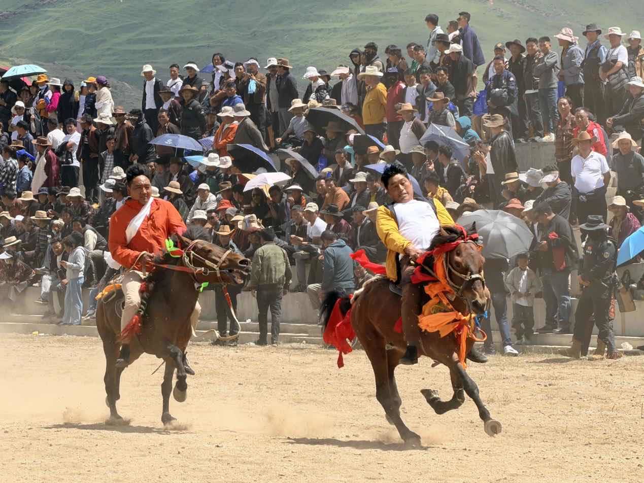 324匹骏马盛装竞速 甘孜县20个乡镇草原争锋