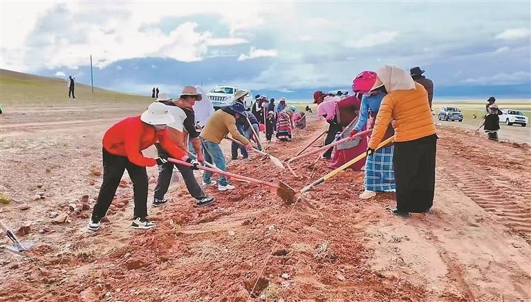 以工代赈惠民生 就地务工奔幸福
——阿里地区措勤县以工代赈项目赋能牧区群众稳增收