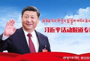 ཞི་ཅིན་ཕིང་གི་བྱེད་སྒོ་སྒྲོག་གཏོང་ཆེད་སྒྲིག