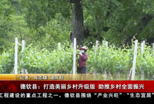 德钦县：打造美丽乡村升级版 助推乡村全面振兴